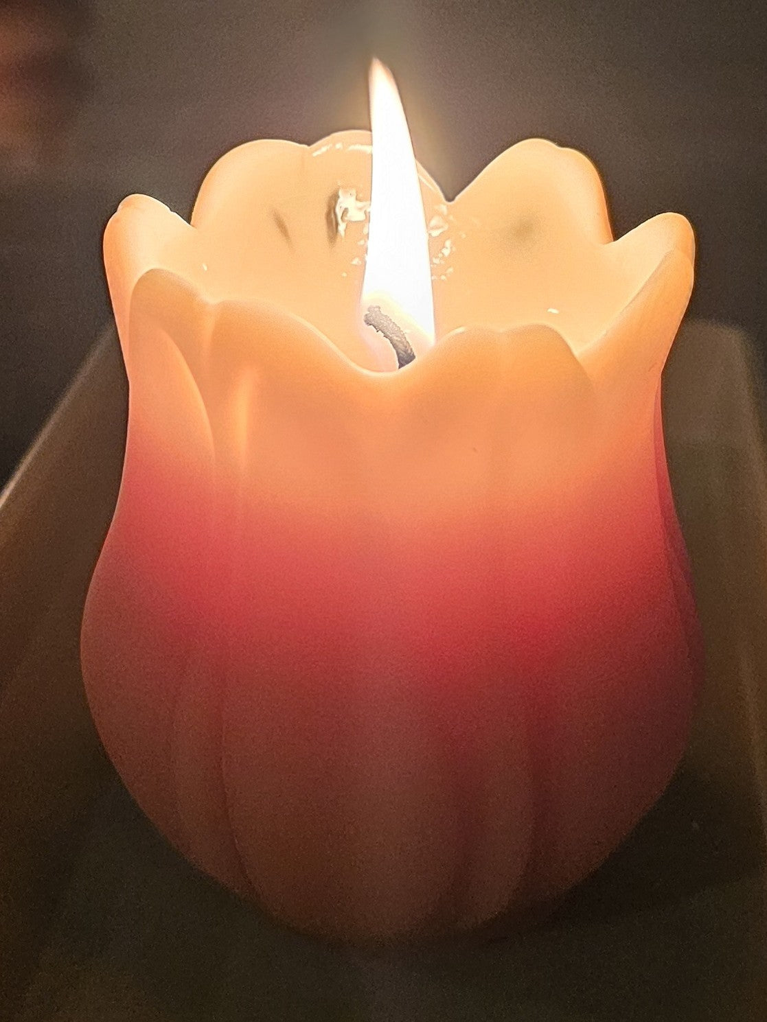 Tulip Candle
