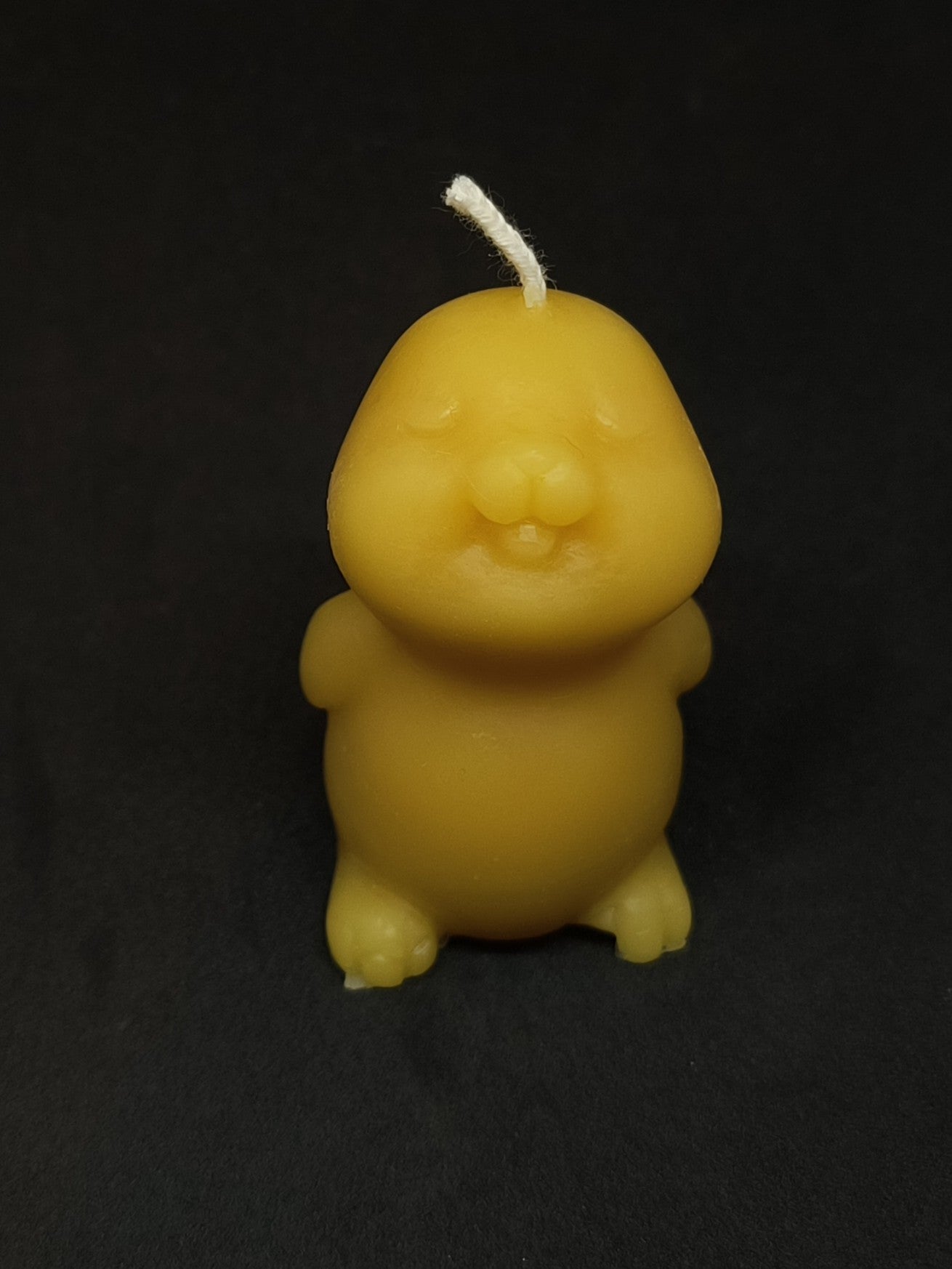 Bunny Candle